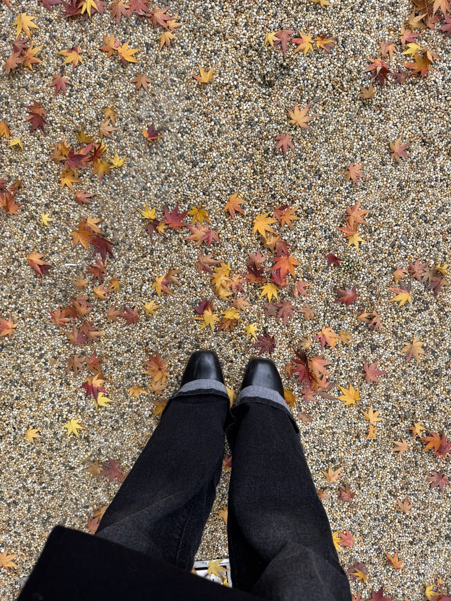 Post by ももちび🍑🐰💗 on X: もみじ🍁