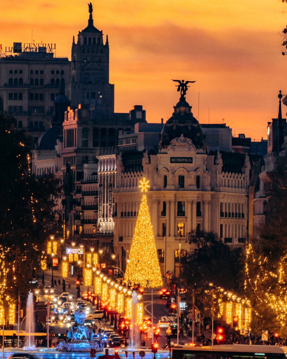 WildscapeWonder's tweet image. Madrid, Spain 🇪🇸