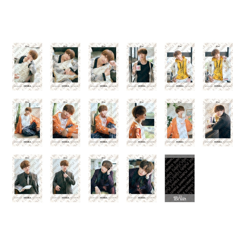 あほの坂田 フォトカード グッズ(音楽)】浦島坂田船 あほの坂田。ランダムミニフォトカード