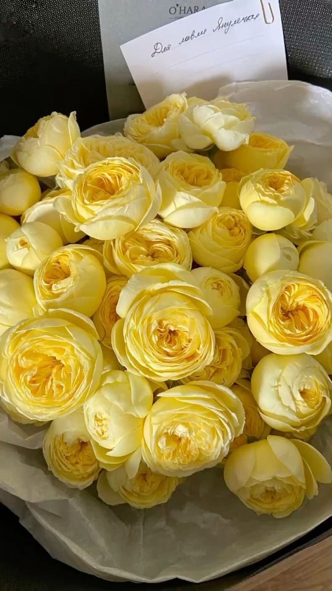 lavieestbelIe's tweet image. Yellow flowers are so pretty