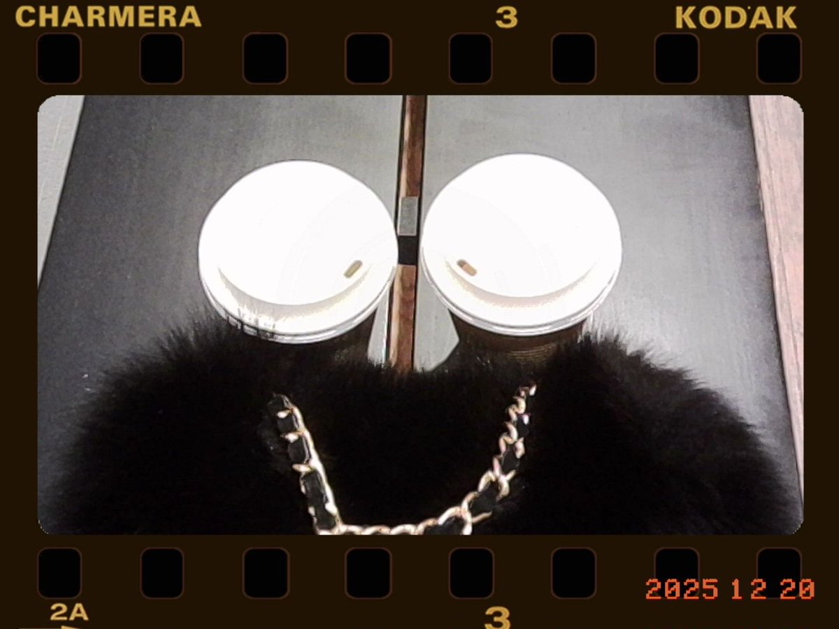 K…様　ご確認用 BEET (ビート) ハイパーバンク 固定式 シルバー ZX-10R 0111-KB3-20