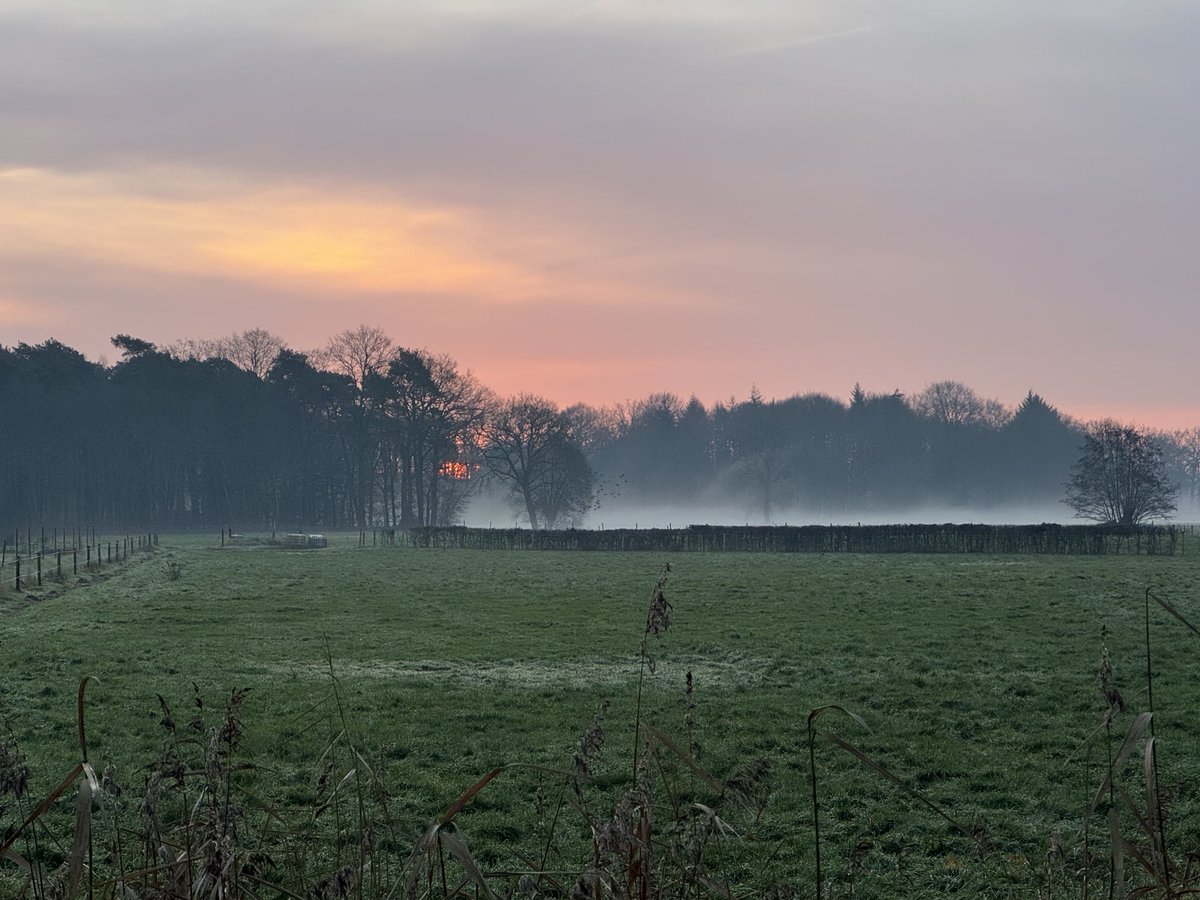 Ook op de kortste dag komt ie echt wel. Nog iets verstopt achter de bomen schijnt ook vandaag de zon. Goedemorgen!
