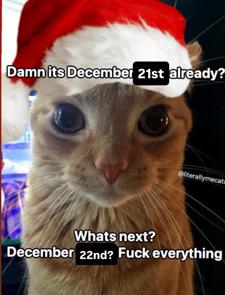 LiterallyMeCats (@literallymecats) on Twitter photo 