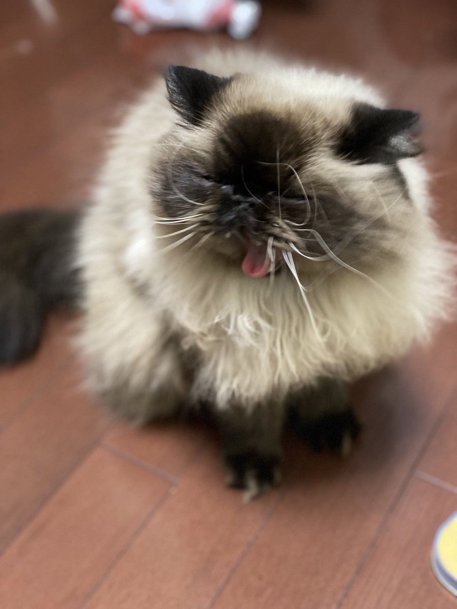 むぎ (@Mugi_is_No1) / Posts / X