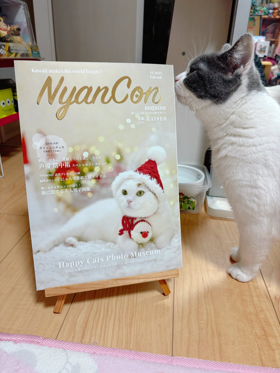 NyanCon（ニャンコン） | 「猫と共に」公式アカウント🐾 (@NyanCon01