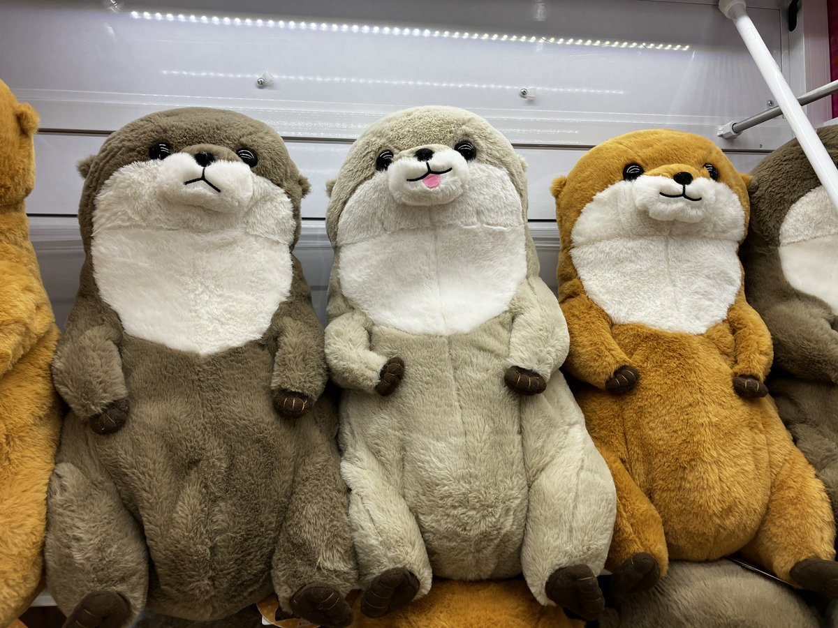 新景品✨】 人気のくったりカワウソのおすわりウルトラBIGが登場