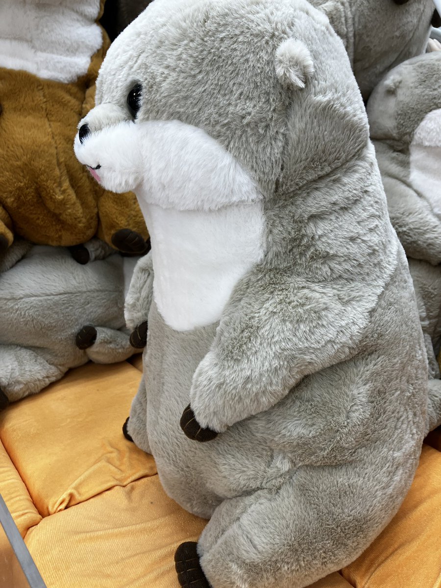 新景品✨】 人気のくったりカワウソのおすわりウルトラBIGが登場