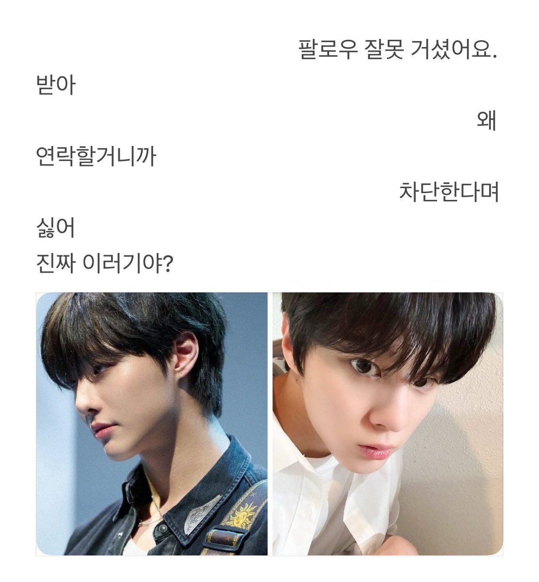 밤윤 tweet media
