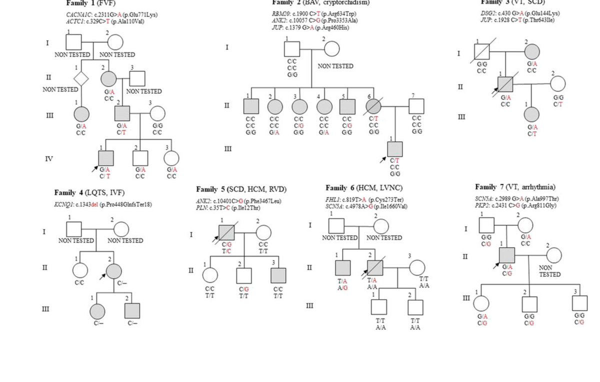 As someone who is still quite new to the genetics field, I found this family-based NGS approach really interesting. 🧬✨

The idea of testing multiple family members from the very beginning — rather than only the proband — seems to offer faster variant interpretation, better risk