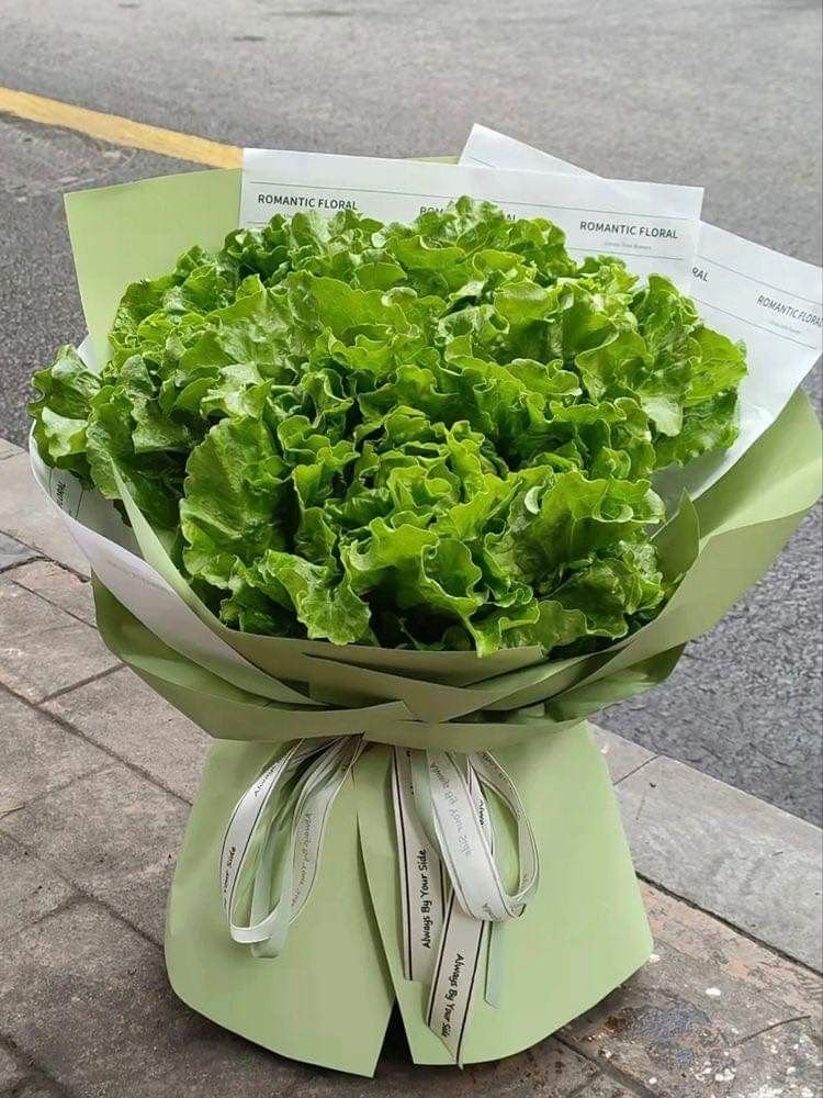 lavieestbelIe's tweet image. 