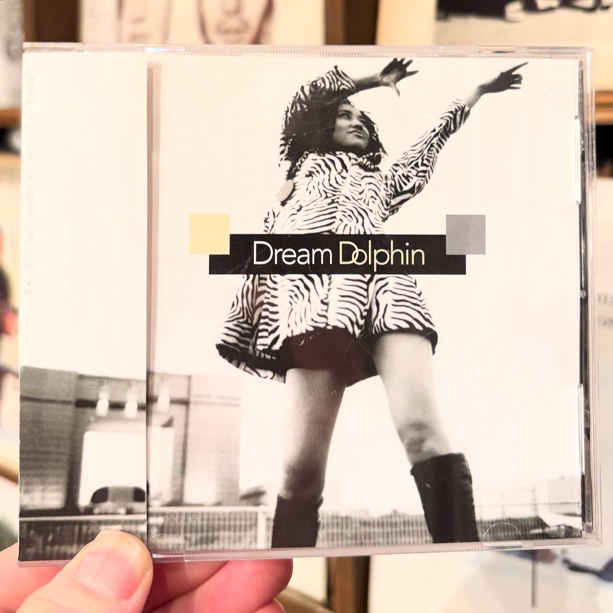 Dream Dolphin / 東京の民族音楽～Folk-Roots Of Tokyo CD入荷🎉 TOKYO