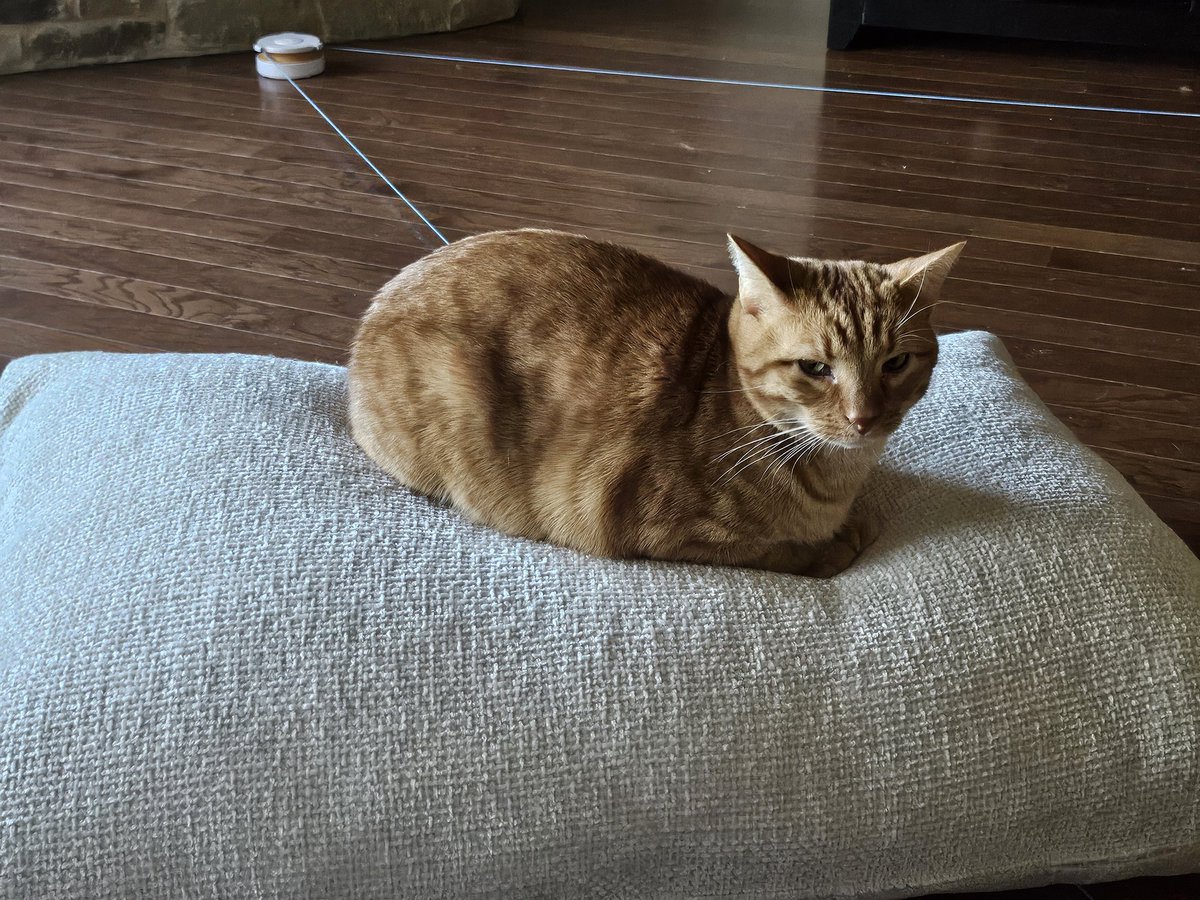 JFJ🇺🇸 tweet media