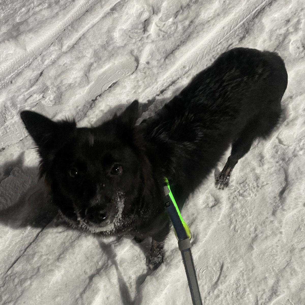 데이 인제 이만해졌어요