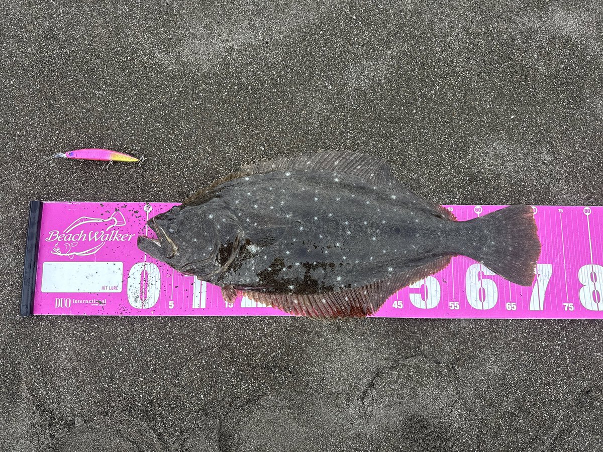 飯島一貴 (@Turizanmai27) / Posts / X