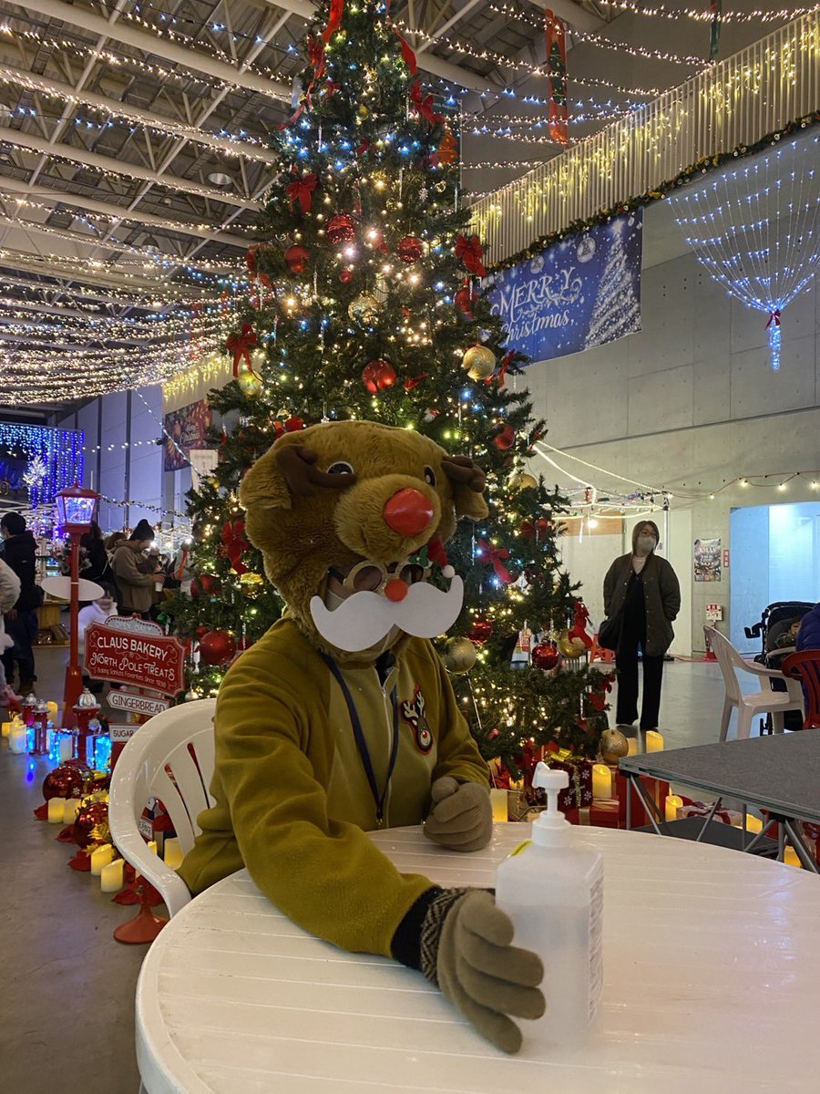 トナカイ M MAATEE&SONS】 JACQUARD P/O SWEATER トナカイ cashmere100%のNordic