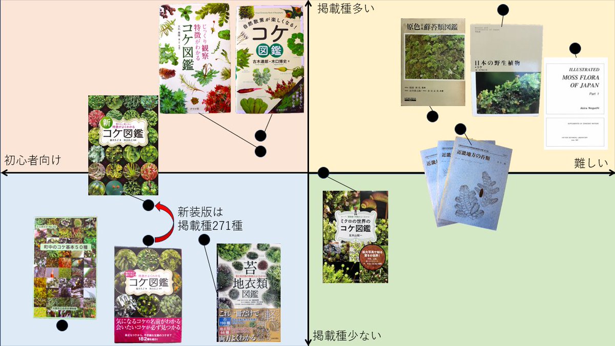 moss-act_コケカツ tweet media