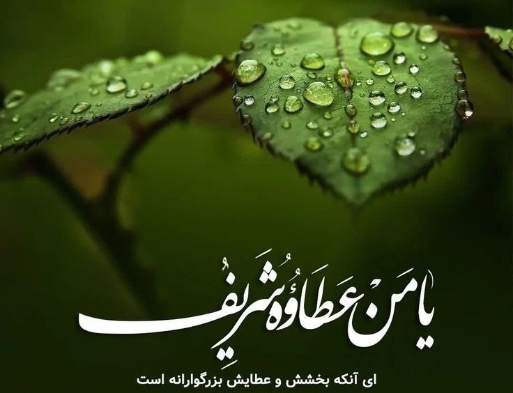 بـ💧ـارون رجب در راهـه
تا از همه سیاهیها، پاکمون کنه.
تا برایِ مهمونی رمضـان آماده مون کنه.
بایدهمه چتـ☔️ـرها رو بست 
و....برای خیس شدن آماده شد

#این_الرجبیون

میخواهی بهره بیشتر و بهتر از #ماه_رجب ببری بیا اینجا👇
@ostad_shojae