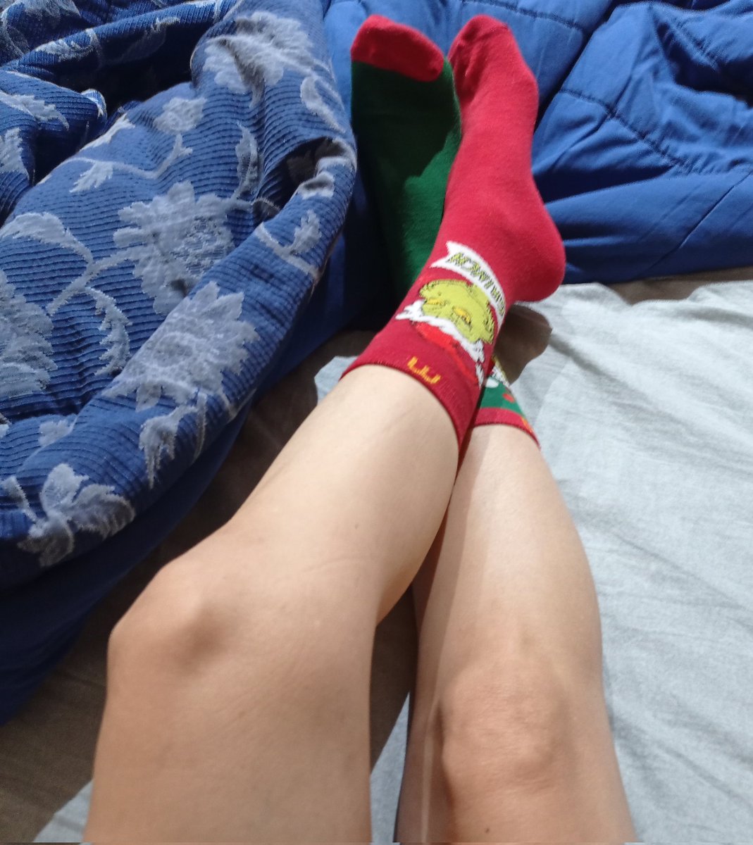 Aida_plus's tweet image. Il mio spirito natalizio è tutto qui