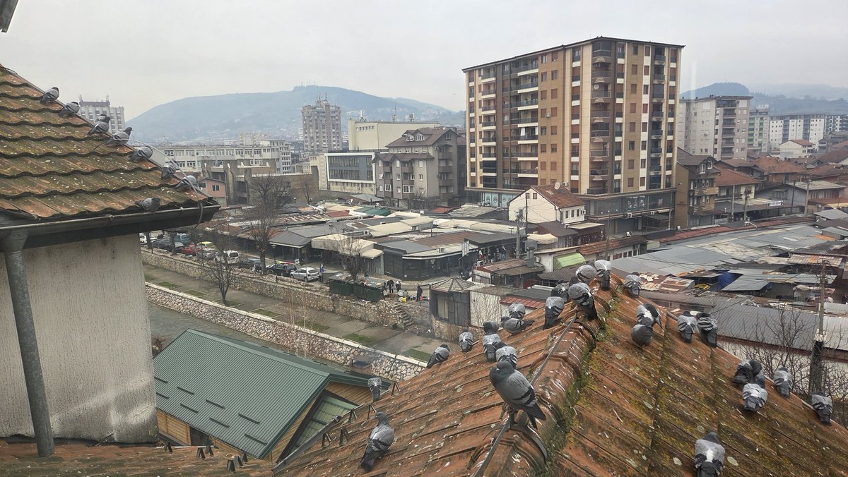 mita201's tweet image. NEĆETE SPAVATI!!!!