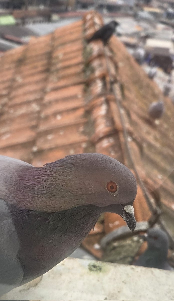 mita201's tweet image. NEĆETE SPAVATI!!!!