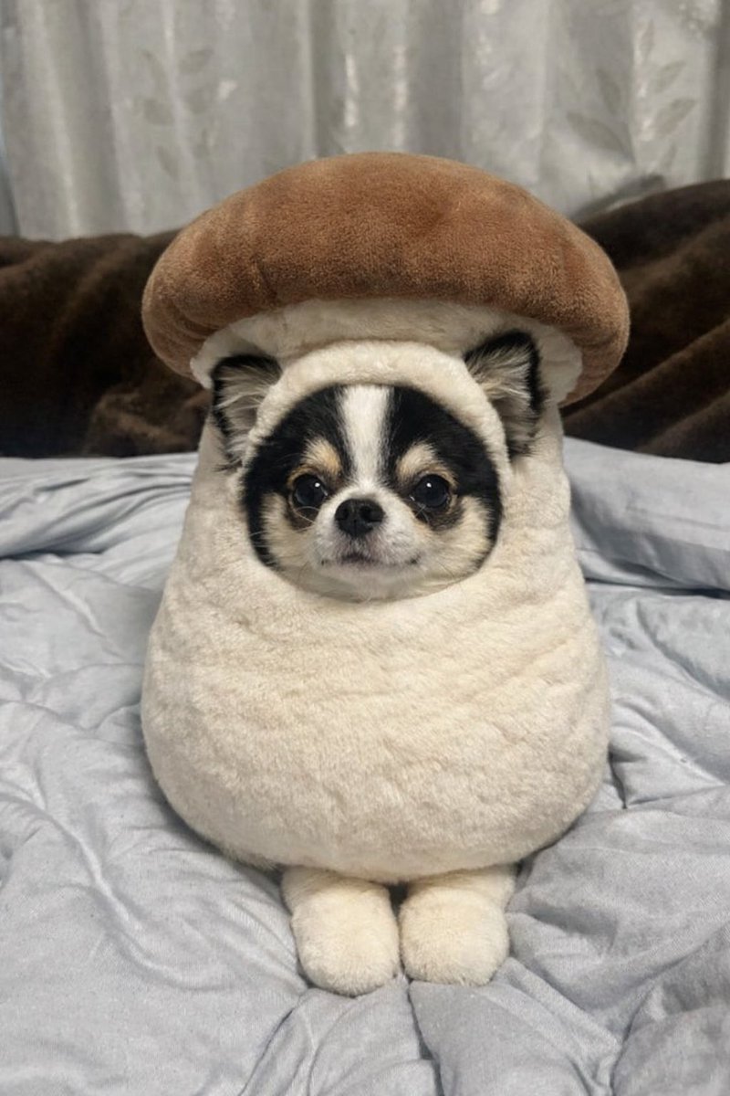 はると (@tomeji1106) / Posts / X