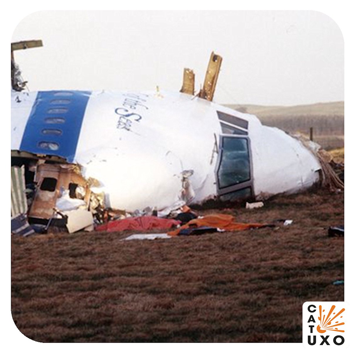 Perry Phillips tweet media