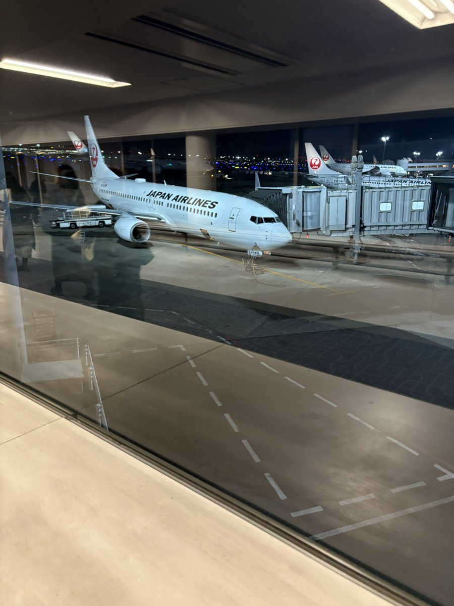 べーやん🐨 (@beeeyaaaannnn) / Posts / X