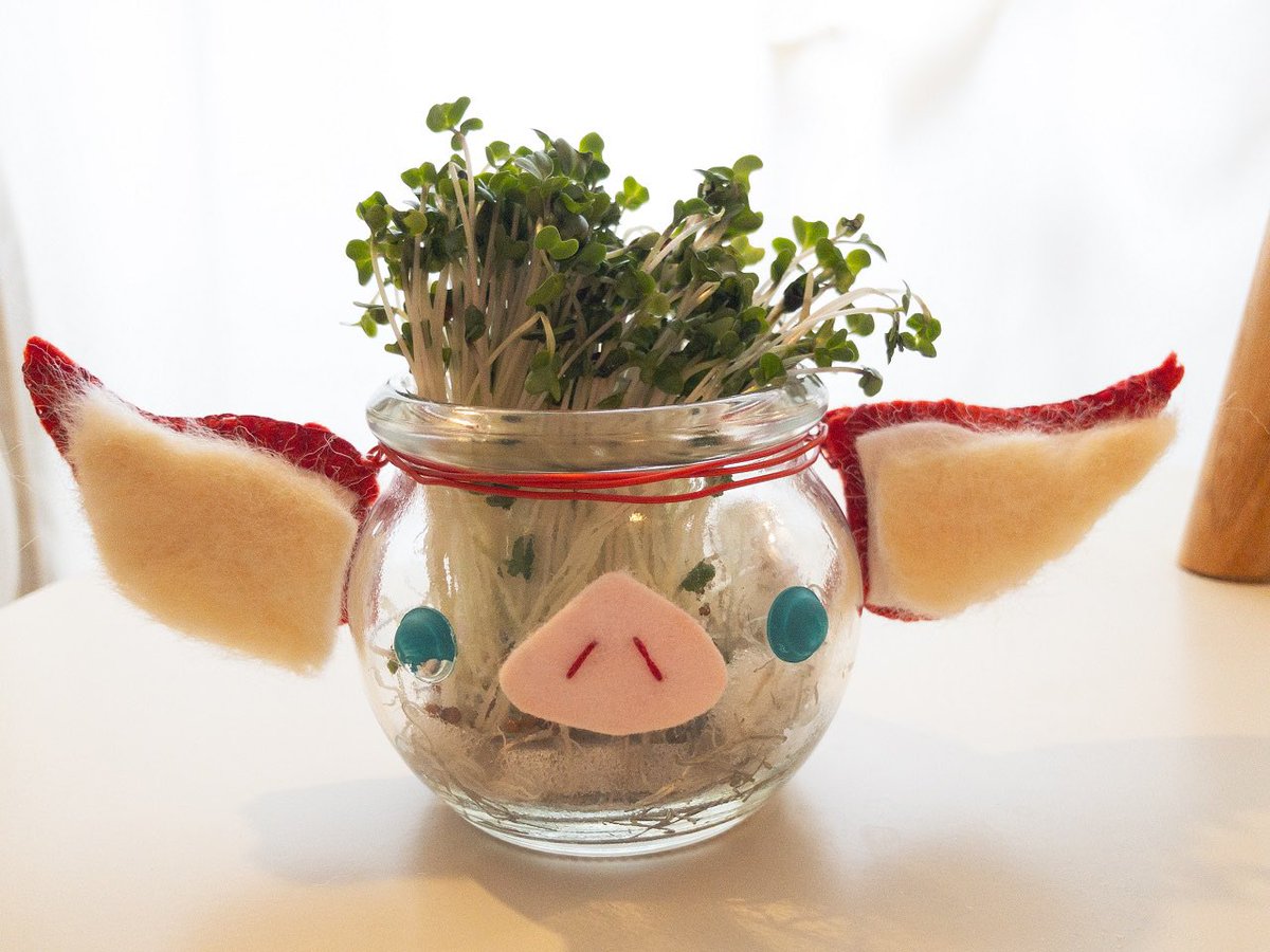 ぞよじ tweet media