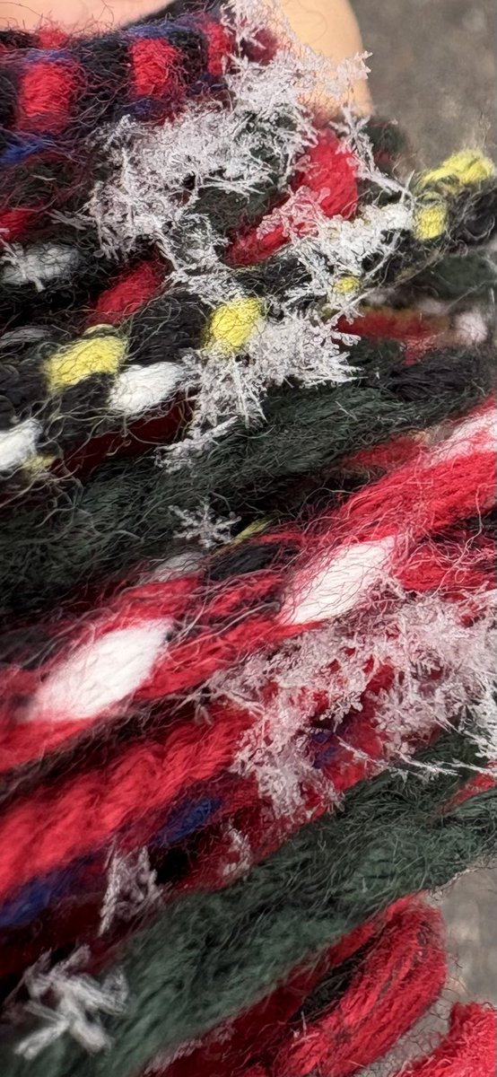 アルマトイは今日も雪
雪の結晶の観察が捗りますね

雪の結晶はロシア語でснежи́нка

Снежинка упадет на стекло, взглянет на дьячиху и растает...－チェーホフ『魔女』