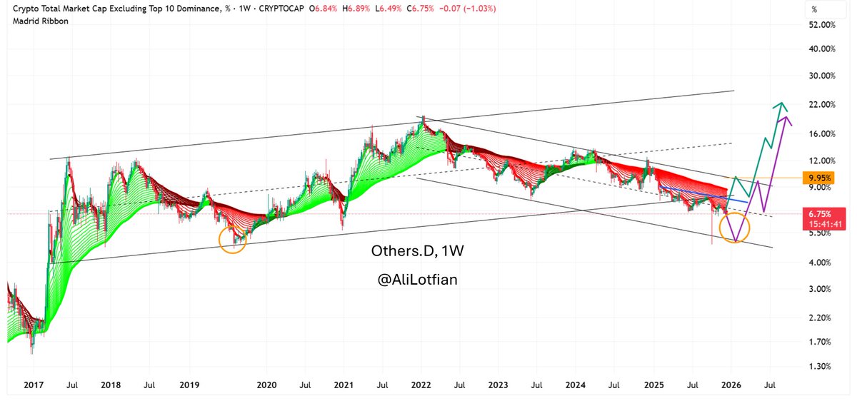 Ali Lotfian tweet media