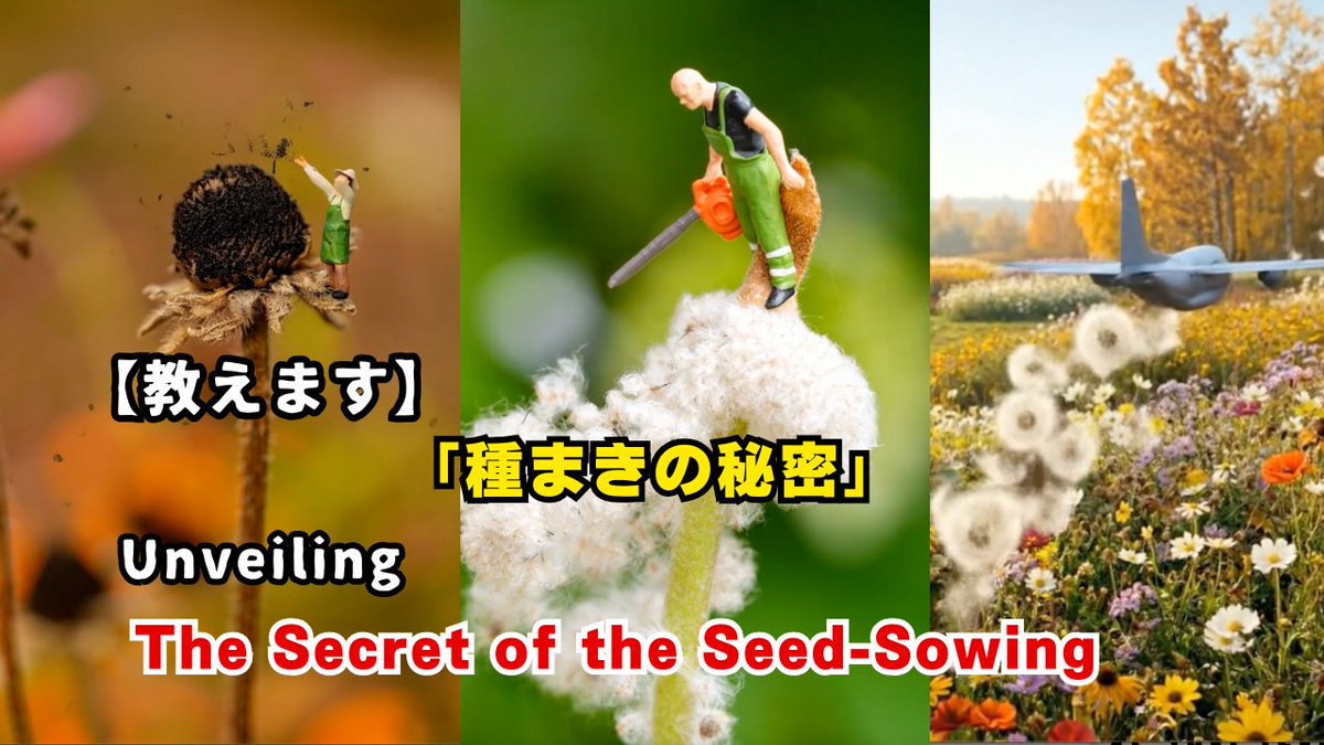 はるちもんの新しいyoutube動画。
種まきの秘密 / Unveiling the Secret of the Seed-Sowing
youtu.be/7v05fn-hrE4?si…