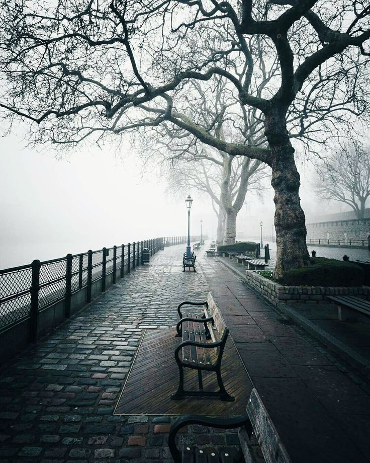 DesignSemo's tweet image. 