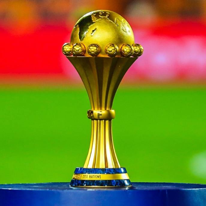 الدوري الفرنسي ليغ 1 هو الأكثر تمثيلًا في كأس أمم إفريقيا 2025. إذ يشارك نحو 50 لاعبًا من أندية ليغ 1 في البطولة. 