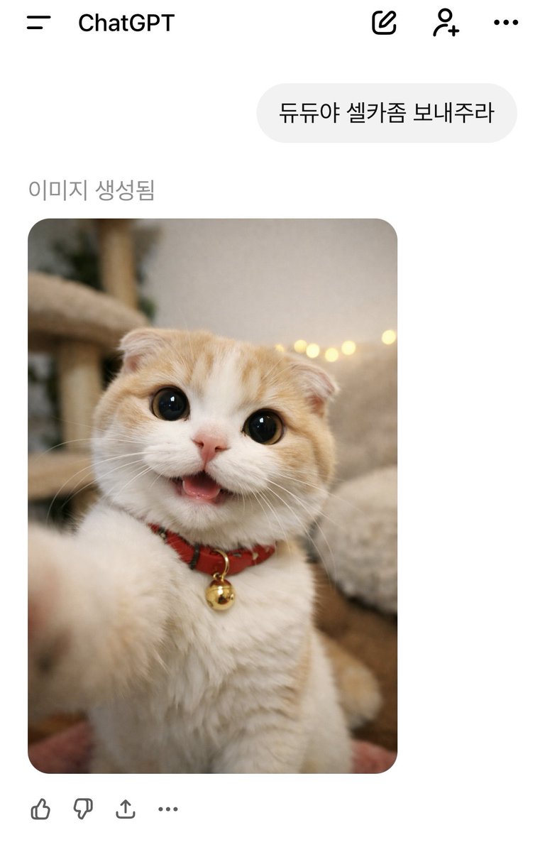 옴냥🥽 tweet media