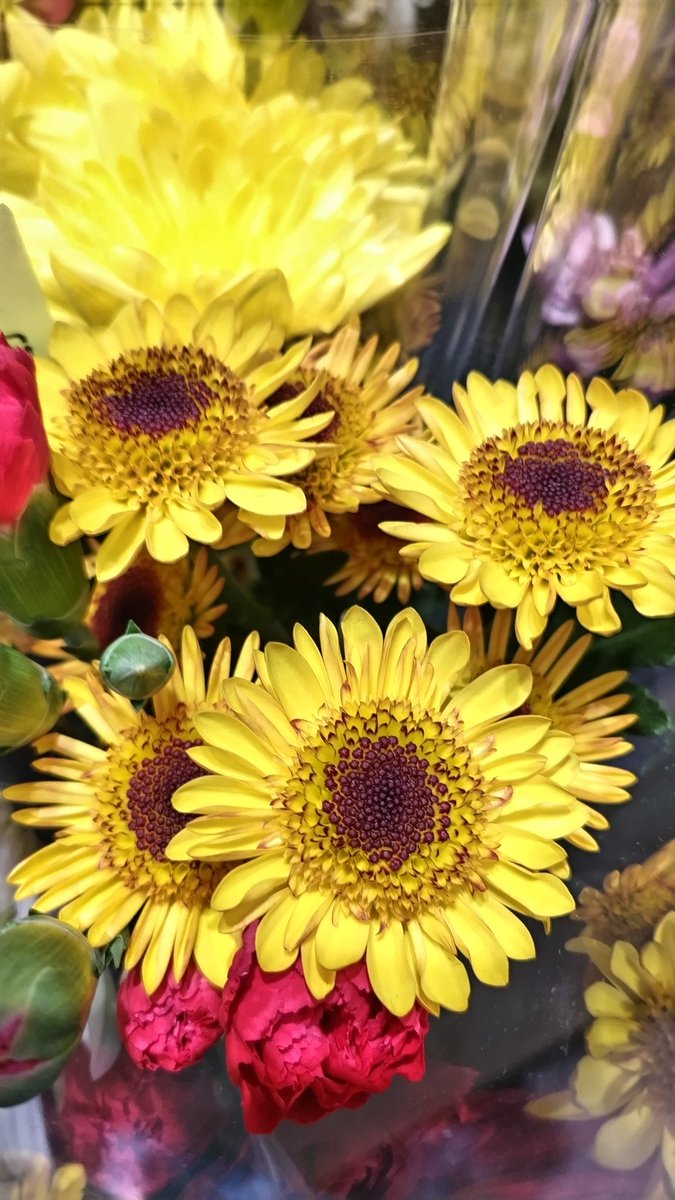 TLを花でいっぱいにしよう