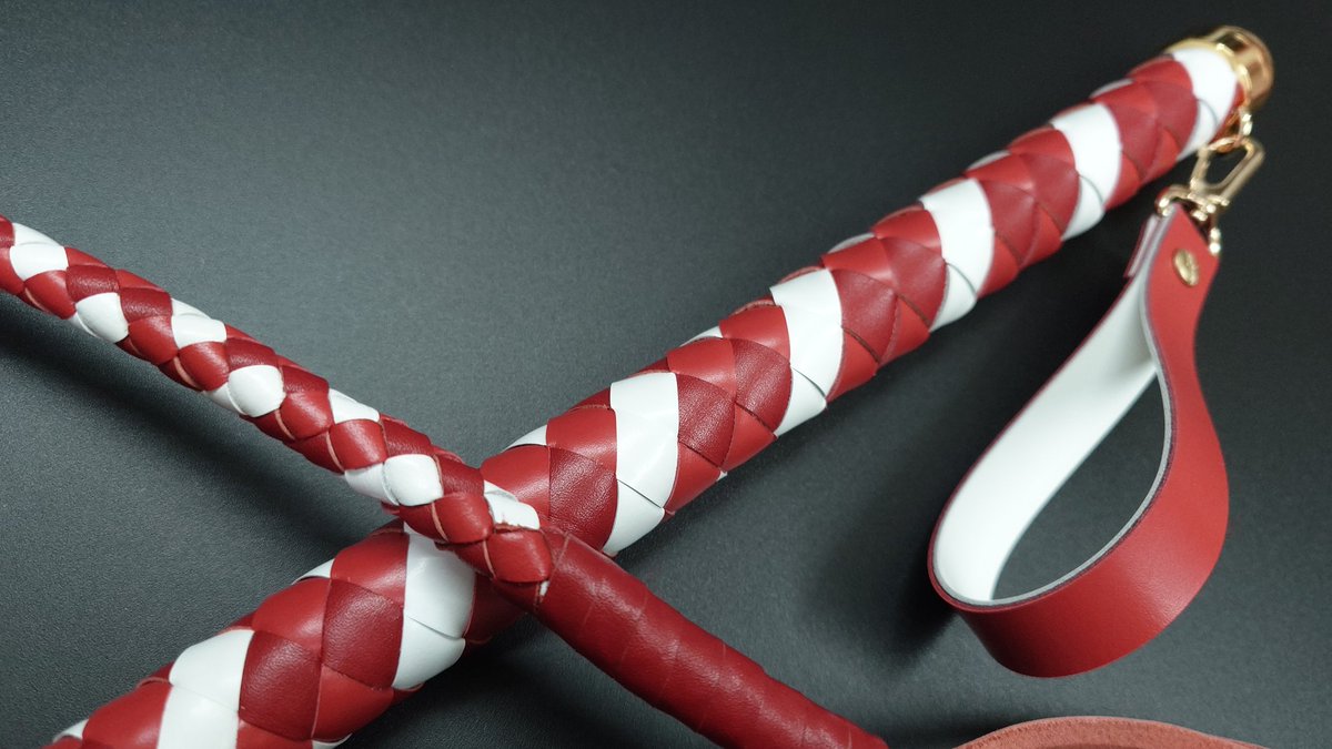 鞭匠 初代 桃太郎 (@momowhips) / Posts / X