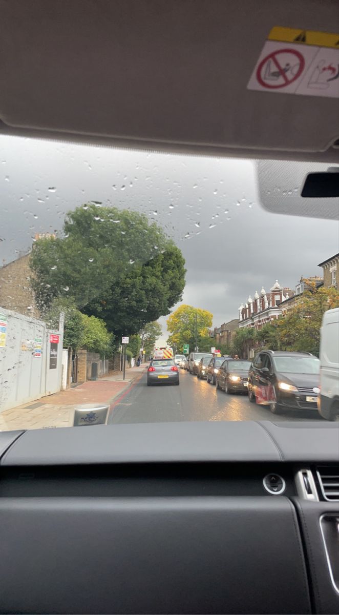 Cat synth tweet media