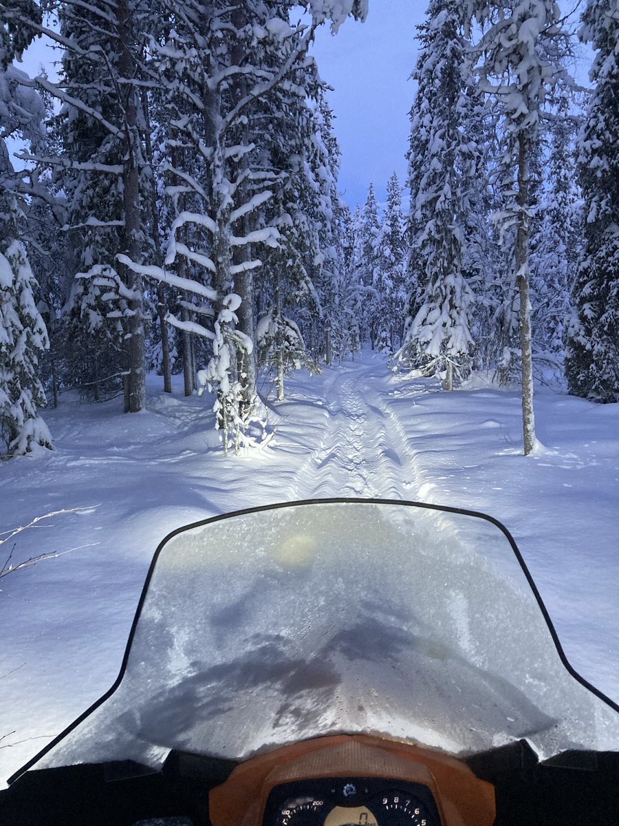 Hej mitt vinterland! ⛄️