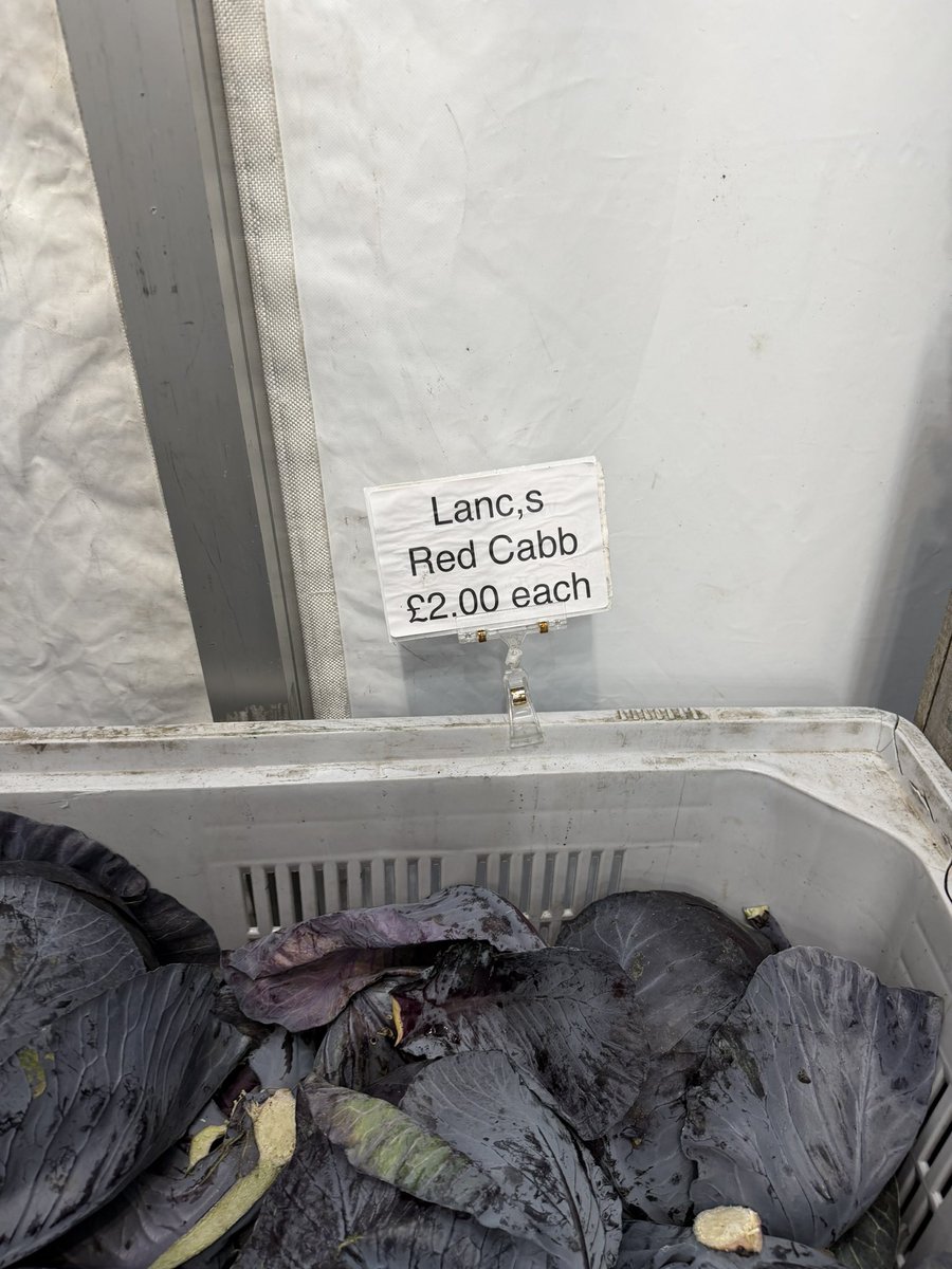TatwsTrading's tweet image. You can stick your Crappy plastic wrapped 5p 8p 10p 15p it’s Absolutely Pathetic undermining &amp;amp; devalueing fantastic produce they don’t realise it’s backfiring on them 👍👍👍👍👍👍👍👍👍 Direct from the Farm 4kg red cabbage only £2 EVERYONE makes a living 💪not just you know who