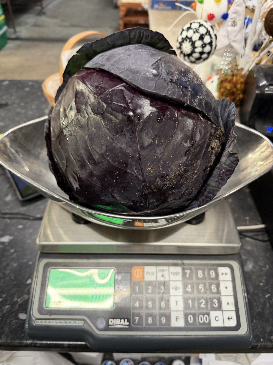TatwsTrading's tweet image. You can stick your Crappy plastic wrapped 5p 8p 10p 15p it’s Absolutely Pathetic undermining &amp;amp; devalueing fantastic produce they don’t realise it’s backfiring on them 👍👍👍👍👍👍👍👍👍 Direct from the Farm 4kg red cabbage only £2 EVERYONE makes a living 💪not just you know who