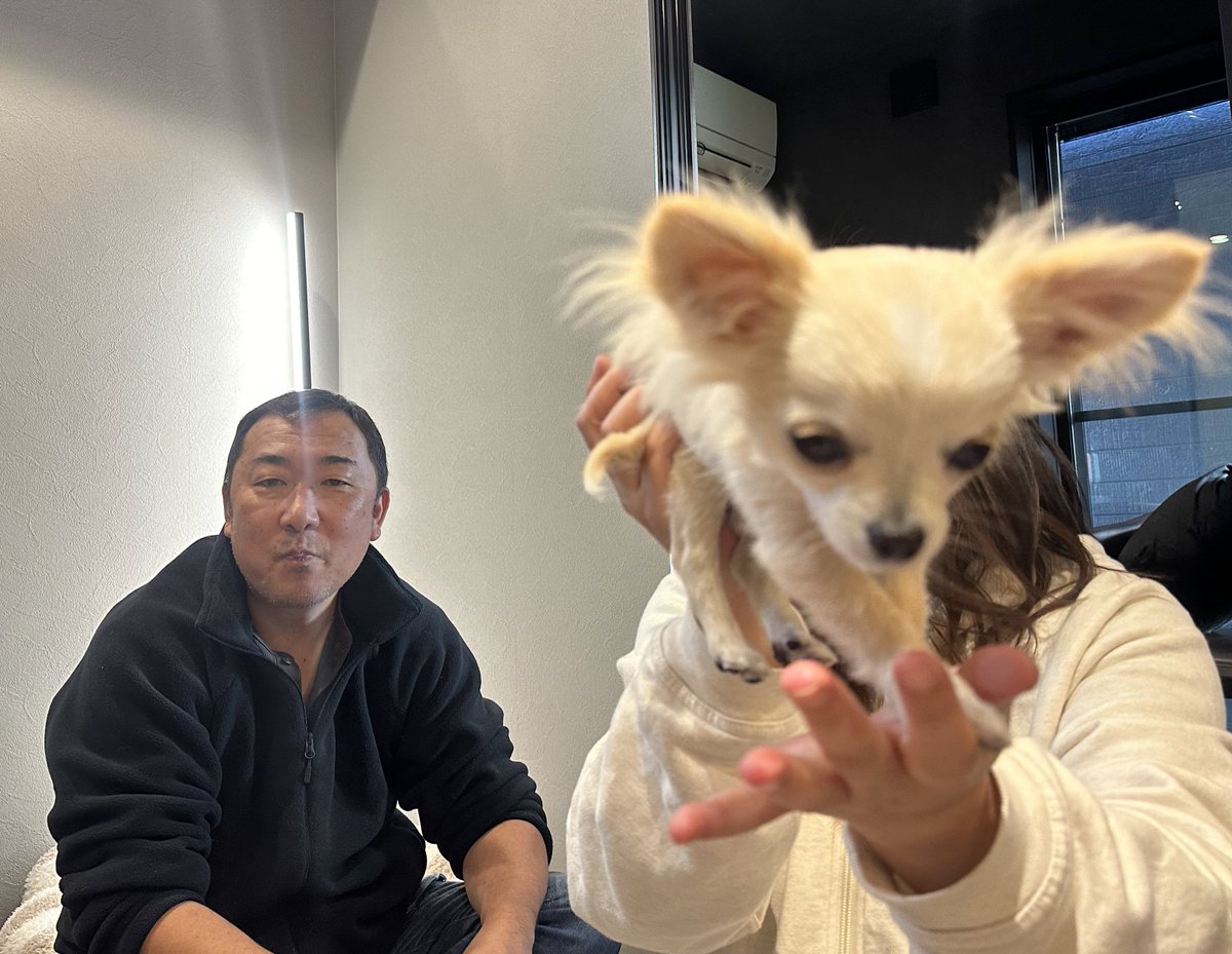 エリィ (@erie_221) / Posts / X