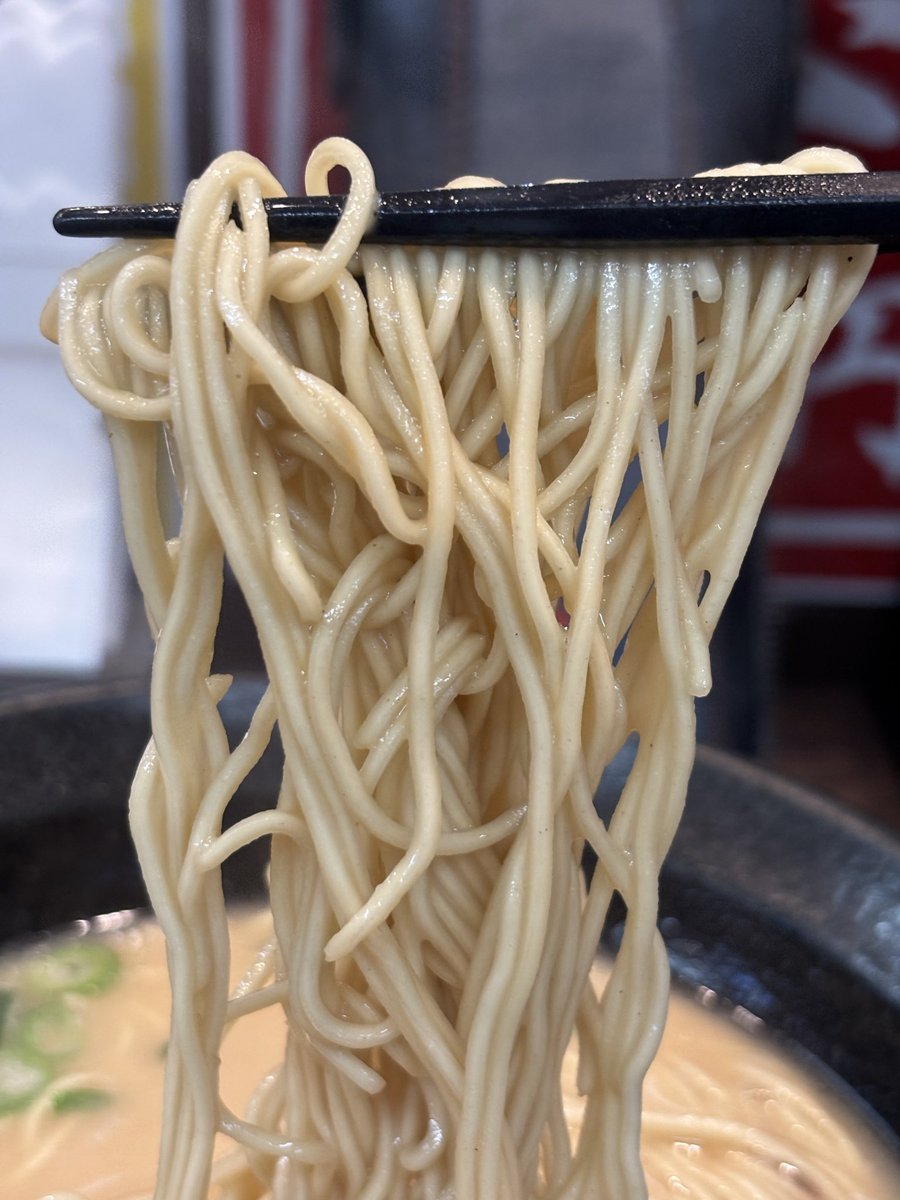 ひろこです(´◡` )♩ みーこ♂ (@q6U7dqDdi6JcXqd) / Posts / X