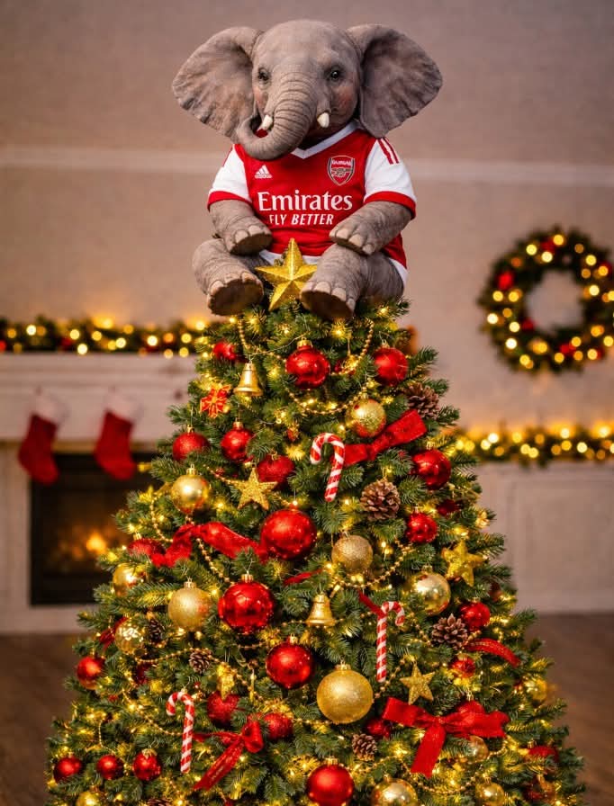 FootballFactly's tweet photo. 🚨🚨ARSENAL are officially top of the tree at Christmas! https://t.co/kpflEBbqTL