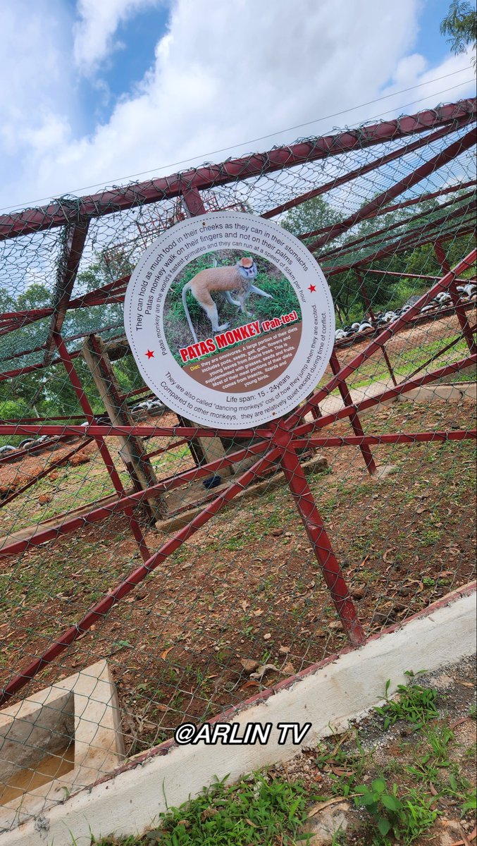 Arlin TV on YouTube tweet media