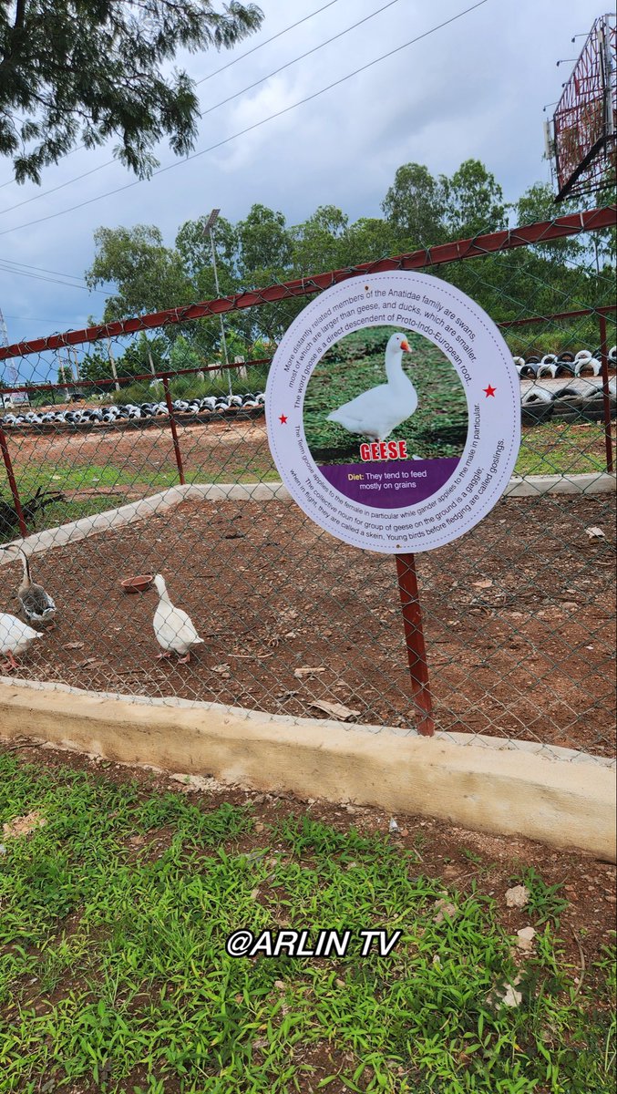 Arlin TV on YouTube tweet media