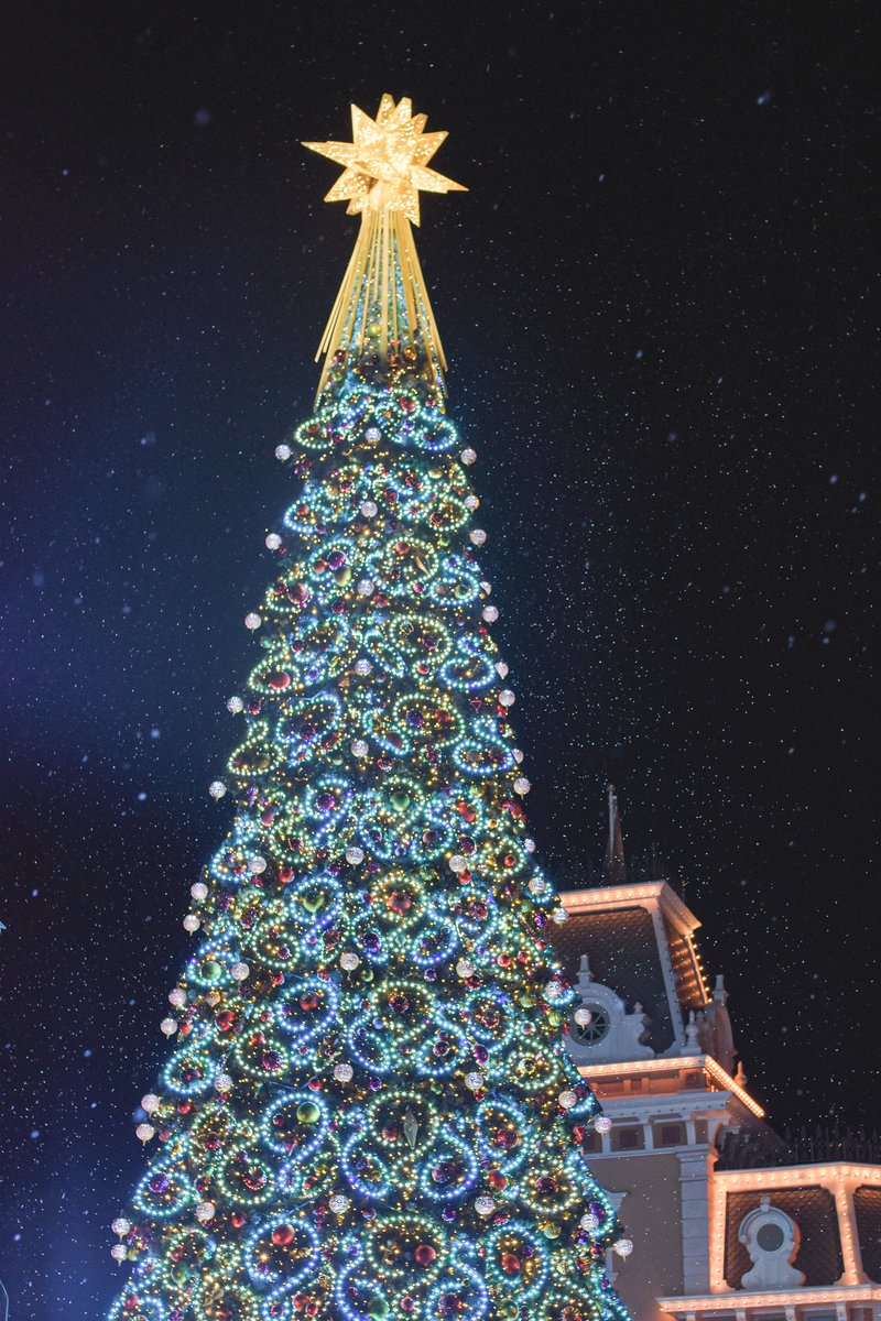 cd0402cd's tweet photo. 🎄❄️.*˚ https://t.co/VA4vjMPOww