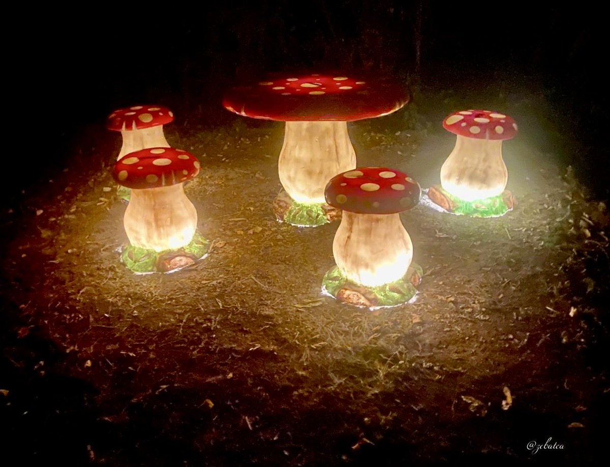 Rustemkadri's tweet image. İnsan hep bilmediğinden
değil ya, Bazen de;
bildiğinden susar. 
Edep bilir, susar. 
Sabir bilir, susar.
Saygı bilir, susar.
Sevgi bilir, susar.