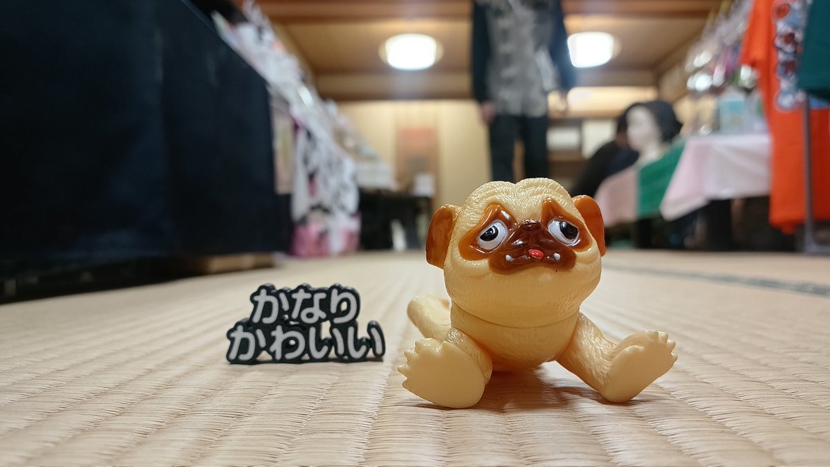 パグ獣🐶作った人→あきぱぐ🐶 (@pugchaa) / Posts / X