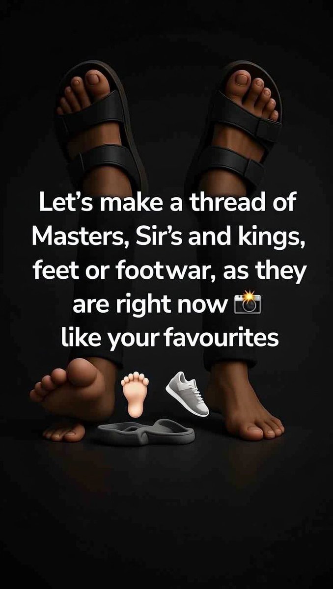 Pig 🐖 tweet media