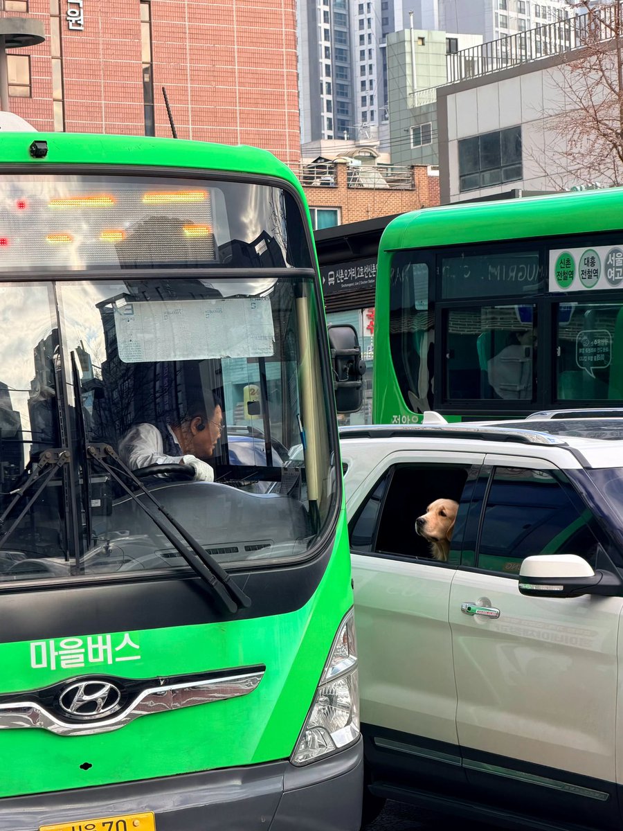미친 적소문 한국 갔다고요?